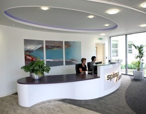 Spirax Sarco, Elaine Jones Painting by Elaine Jones in the reception area of Spirax Sarco