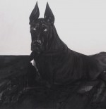 black great dane black great dane