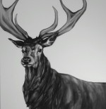 Emperor monochrome painting of a stag